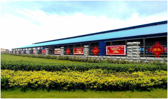 “ 看听谈查 ”板 找短板 党建巡查促提升——花花牛集团党委开展基层党建工作巡查 “ 看听谈查 ”板 找短板 党建巡查促提升——花花牛集团党委开展基层党建工作巡查