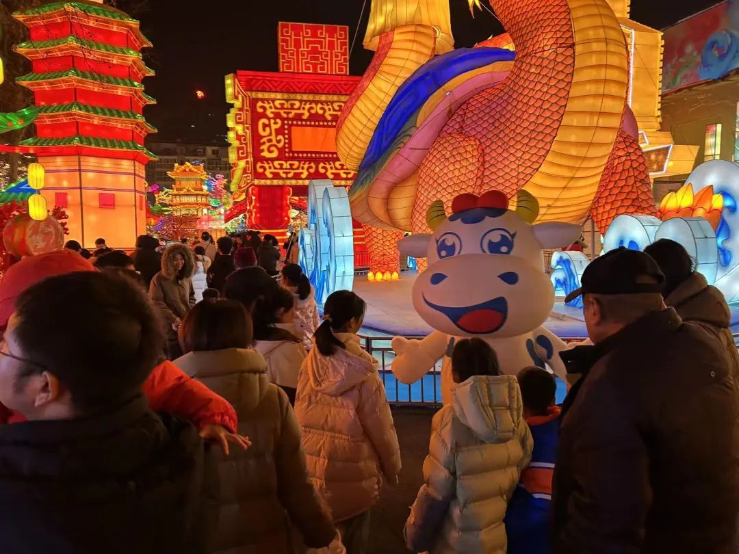 央视直播郑州龙年灯会迎新春，花花牛品牌上大分