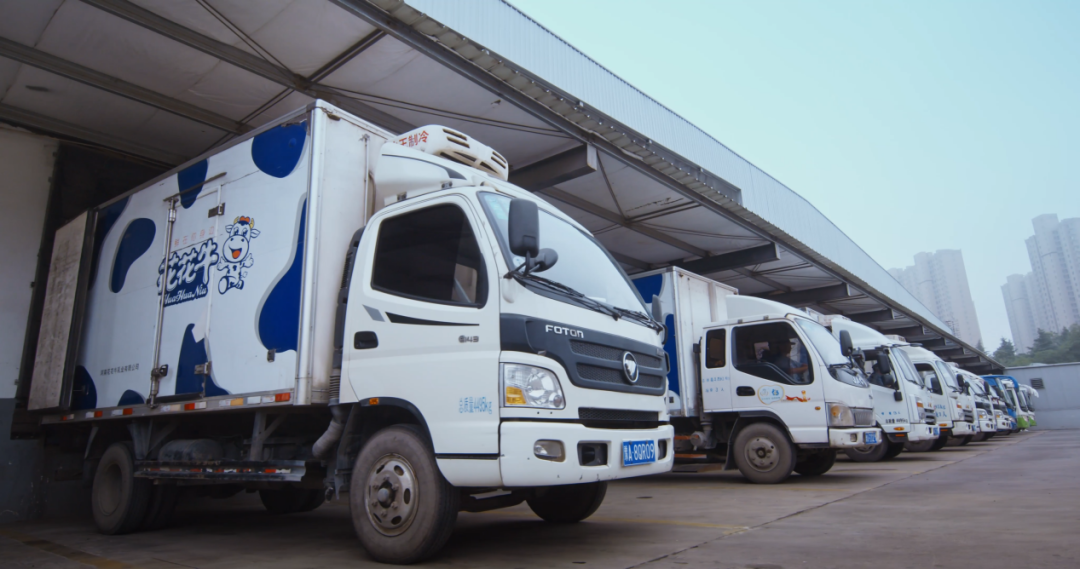 花花牛丨北京家音顺达莅临花花牛乳业集团参观访谈 花花牛丨北京家音顺达莅临花花牛乳业集团参观访谈