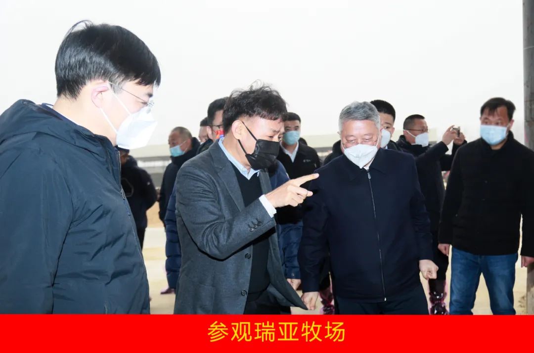 新年开新局 合作促发展丨佳木斯市委常委、副市长闫志刚一行莅临花花牛乳业集团及佳田企业考察座谈