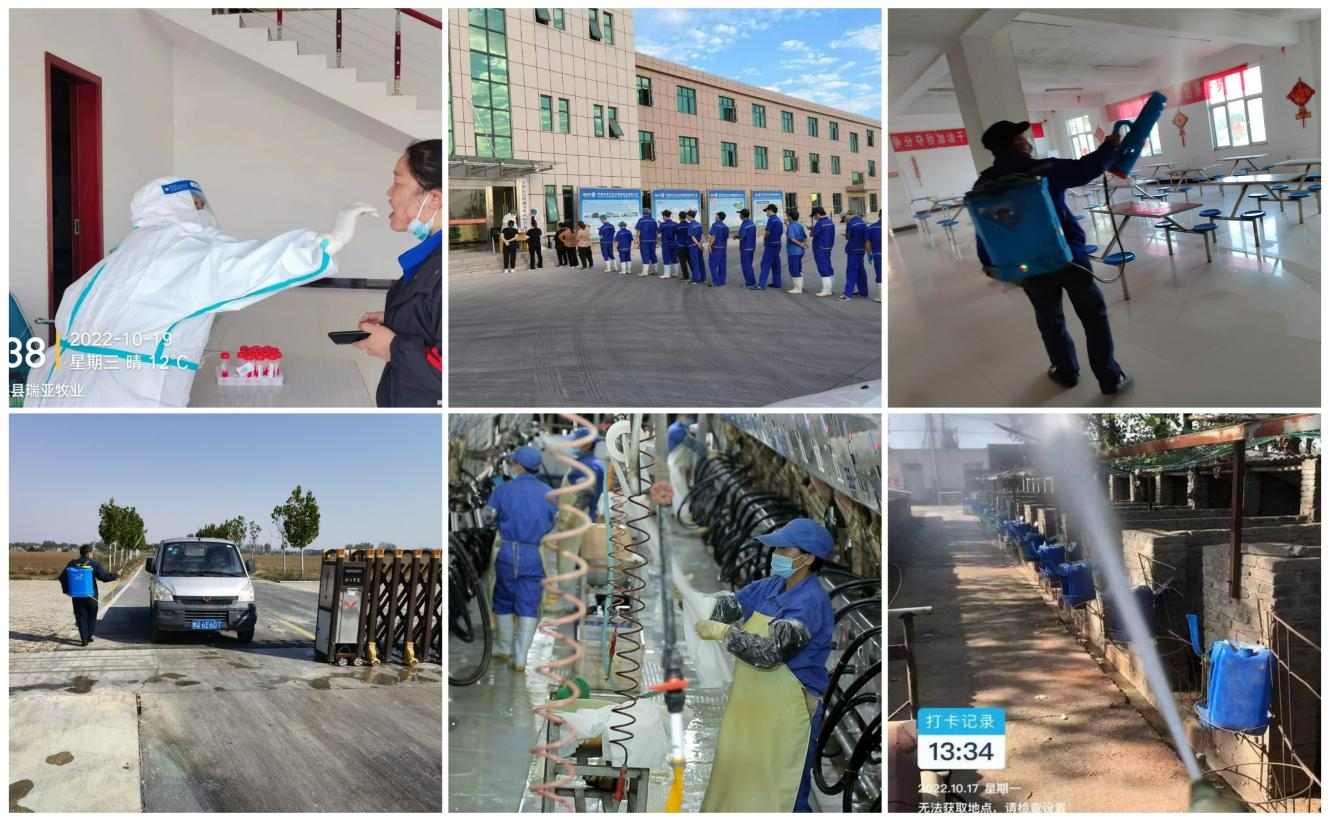 抗疫情、保供应、显担当——花花牛在行动！！！