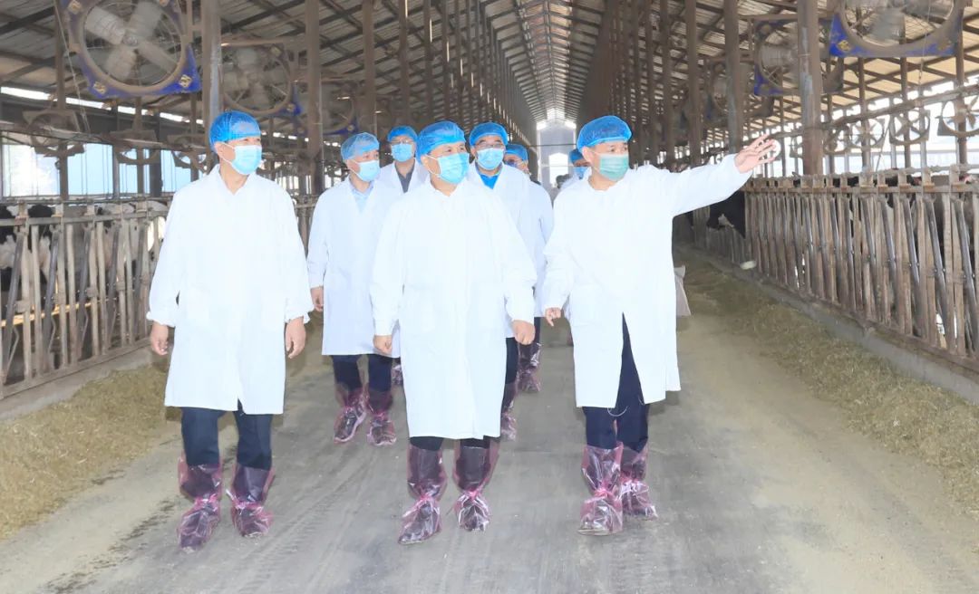 快讯丨河南省人民政府副省长武国定莅临花花牛乳业集团瑞亚牧业调研奶源基地建设情况