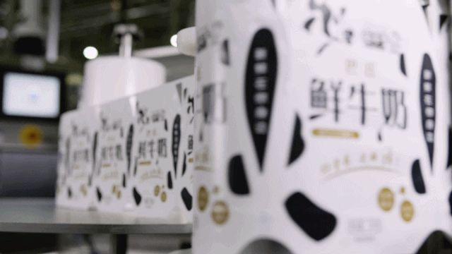 快讯 | 长江商学院智能制造学会走进花花牛乳业集团