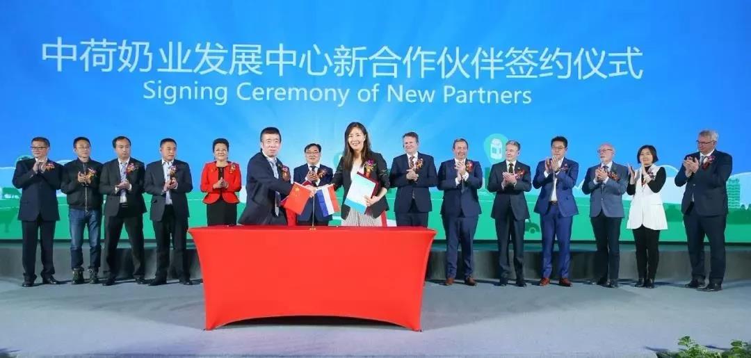 SDDDC走进河南，看看花花牛的国际范儿！