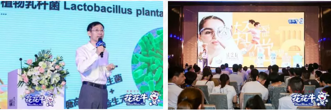 花花牛轻觉上市暨优质乳工程认证发布会,盛大启幕! 花花牛轻觉上市暨优质乳工程认证发布会,盛大启幕!