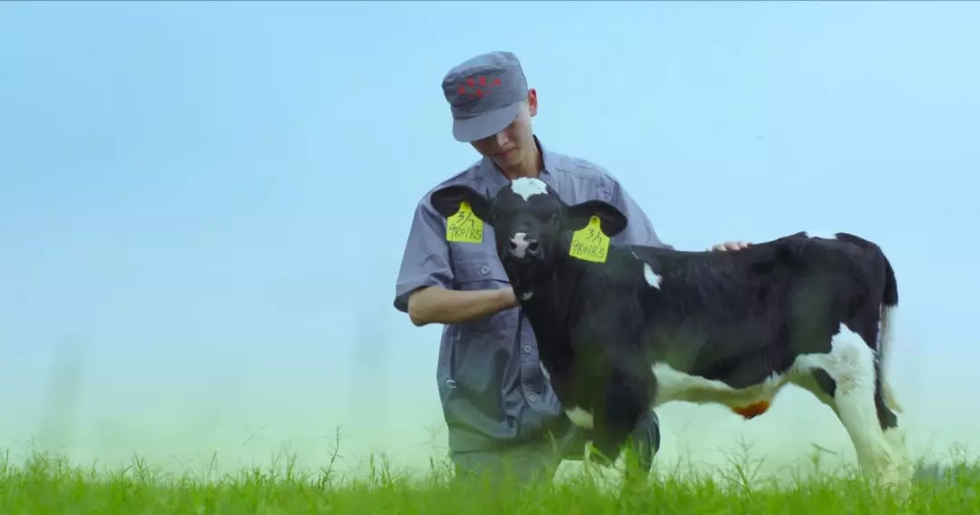 喜报 | 国家市场监管总局抽检，花花牛等112家企业乳品抽检全部合格