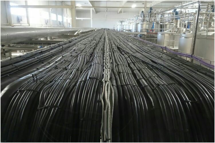 走进工厂 走进工厂